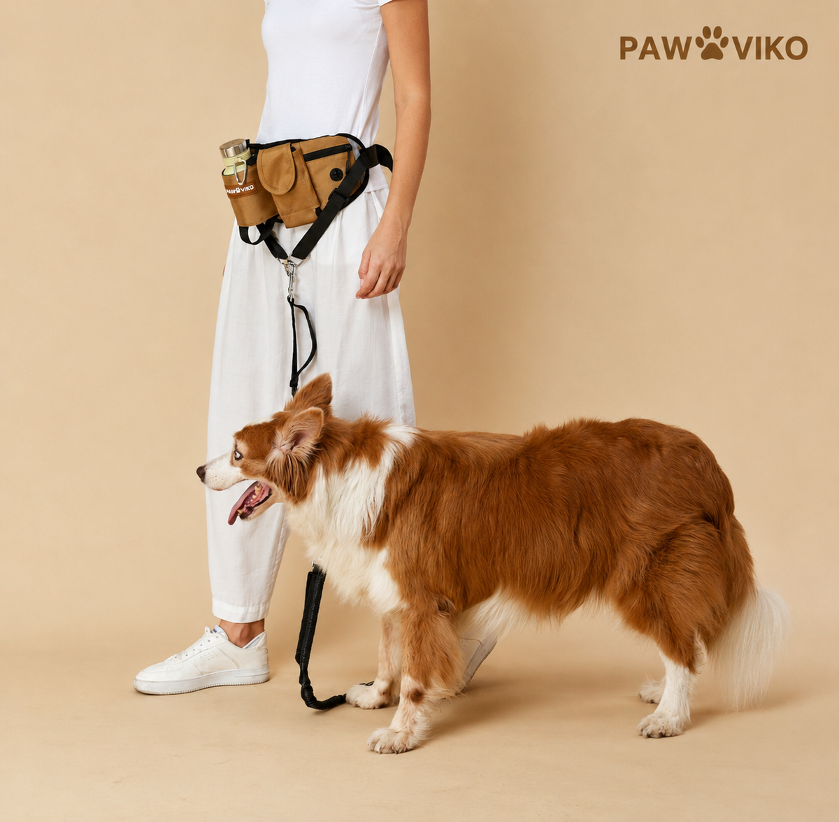 Sac de promenade tout-en-un pour chien