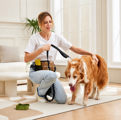 Sac de promenade tout-en-un pour chien